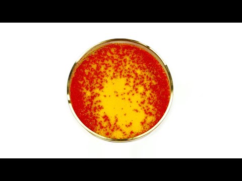 Color changing mercury