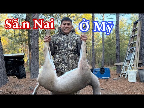 Ngày Mở Rừng Đi Să.n Ở Texas