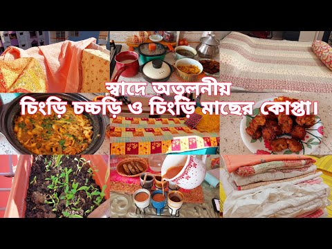 নতুন জিনিস দিয়ে ঘর গুছিয়ে সাজিয়ে নিয়েছি। চিংড়ি মাছের চচ্চড়ি ও চিংড়ি কোপ্তা রেসিপি।