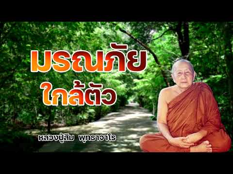 มรณภัยใกล้ตัว หลวงปู่สิม  พุทธาจาโร