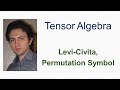 Permutation Symbol and Tensor Calculus