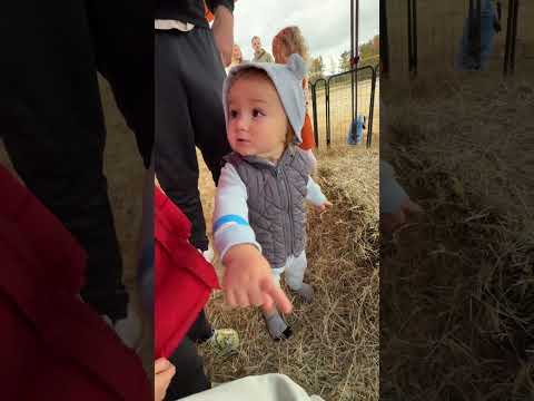 Fun voice over addition #momof3 #momlife #boymom #funny #fall