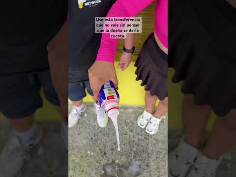 Uso esta transferencia, que no vale, sin pensar que la dueña se daría cuenta