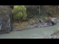 Understanding Acceleration in Bungee Jumping