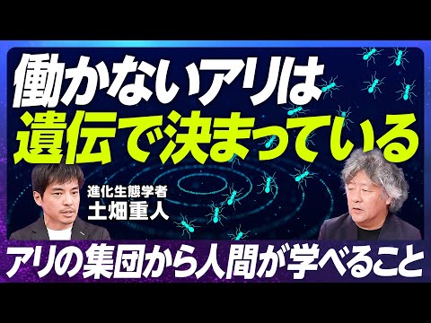 【アリ社会の公共財ジレンマ問題に迫る】進化生態学者・土畑重人／働きアリは遺伝子的に働いている／女王アリの決まり方／アリ研究とAIの関係性【EXTREME SCIENCE】