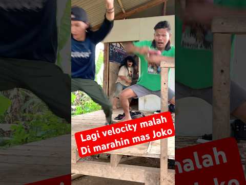 Lagi asik Velocity malah di marahin mas Joko #ngakak #tertawabiarwaras #funny #shorts #viralvideo