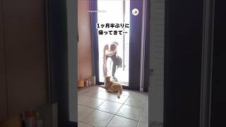 入院していた大好きなおじいちゃんが帰ってきて｜PECO