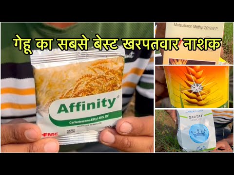 गेहू का सबसे बेस्ट चारामार | Gehu best herbicide combination|सभी खरपतवार एक बार में साफ़