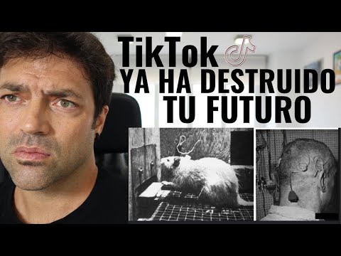 TikTok Ya Ha Destruido Tu Futuro Y Frito Tu Cerebro