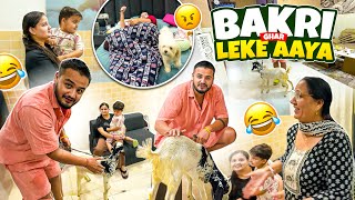 बकरी 🐐Ghar लेके Aaya Kanika के लिए 🥵😱
