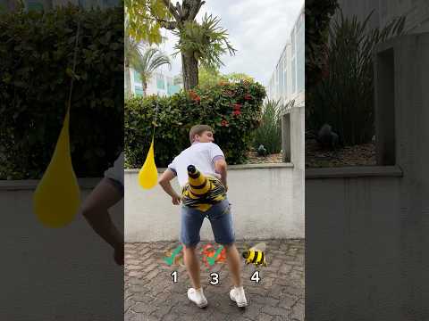 QUAL ANIMAL CONSEGUE ESTOURAR O BALÃO?