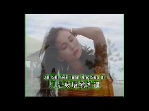 郭仪珍  又是细雨【Original Karaoke】