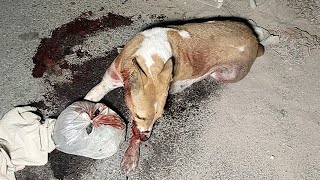 She had just been hit by a car…