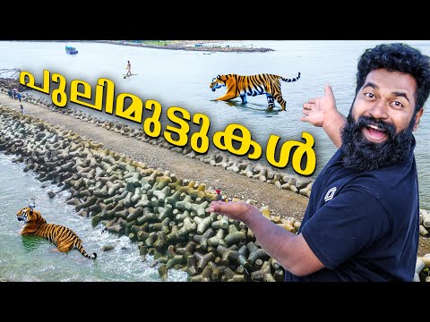 എന്താണ് പുലിമുട്ടുകൾ | What Is Breakwater | M4 Edu |