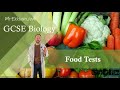 Biochemical Tests for Food Molecules