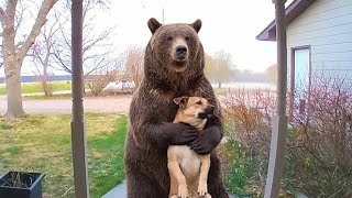 This Animal Friendship Will Make Your Day!