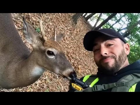 Trapped Baby Deer Rescued By A Kind Man | Incredible Deer Rescue