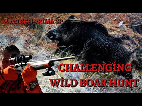 ZORLU ve BOL ATIŞLI DOMUZ AVI  /CHALLENGING WILD BOAR HUNT WITH ARTTECH PRIMA SP#arttech #domuzavı#