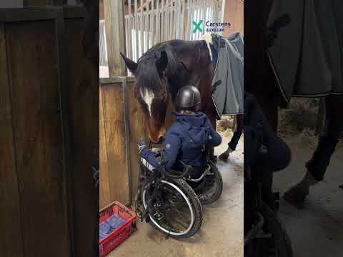 Reiten mit Querschnitt – So funktioniert es! 🐎🔥 Ein Tag auf dem Reiterhof mit Stephanie