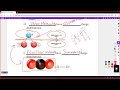 Chemical Bonding and Molecular Structure