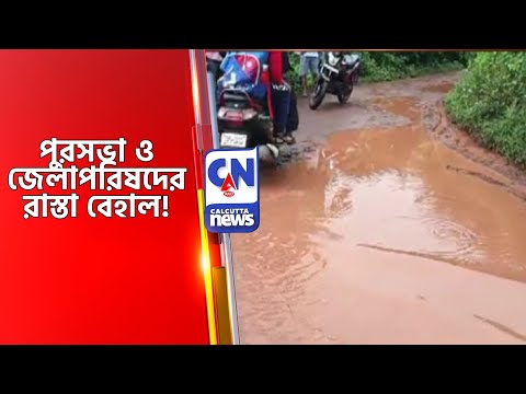 পুরসভা ও জেলাপরিষদের রাস্তা বেহাল! Road Problem
