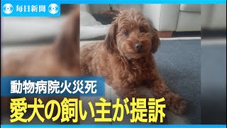 動物病院の火災で愛犬死ぬ　飼い主が300万円の賠償求め提訴　東京