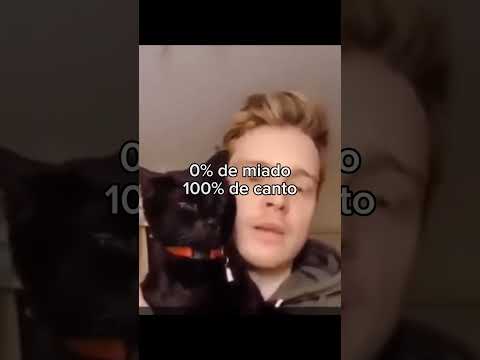 animais muito fofinhos 🐾❤️‍🩹