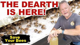 Beekeeping DEARTH & STARVATION WARNING! Act Now