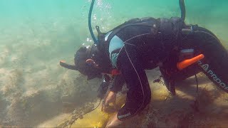 UNDERWATER Search for Weapon's, Money & Jewelry BURIED at SEA