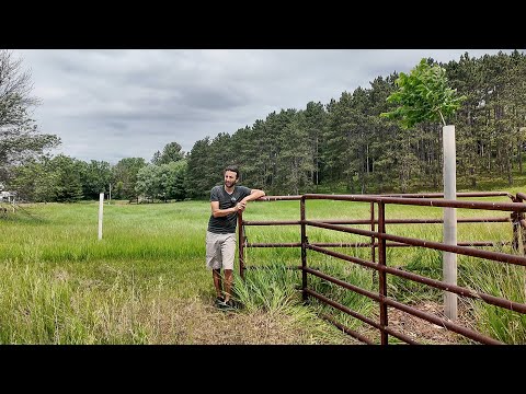 Arboretum Update 2025