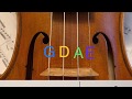 Cấu trúc và nội dung video