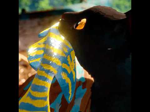 "Kindness Returns" | Flow 2024 Edit #shorts