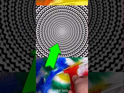 ТЫ ЗАБУДЕШЬ СВОЕ ИМЯ И ВОЗРАСТ