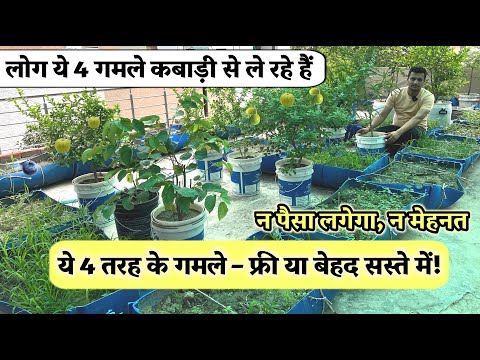 बाजार मत जाइए! गमले कबाड़ी से लाइए – ये 4 आइडिया बदल देंगे बागवानी का तरीका!