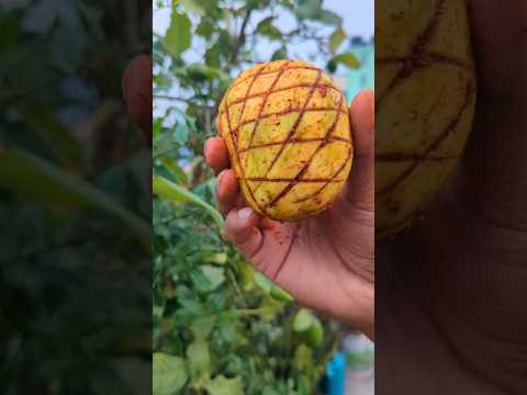 Spicy Raw Mango Masala | π #shorts #food #masala #mango