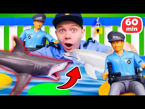 Les arrestations erronées du gendarme👮‍♂️ Sauvetages de requins, courses folles et mystères rigolos