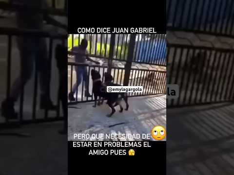 Final Inesperado 🙆‍♂️ #shorts #viral #tendencia #video #youtubeshorts