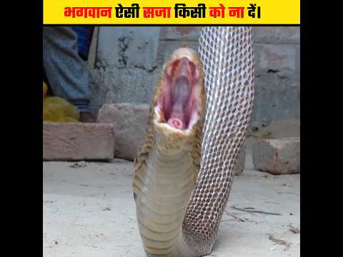 भगवान इसी सजा किसी को ना दे। 🥺😰 #shorts #fact #animals #viral