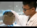 Film Project and Material Properties
