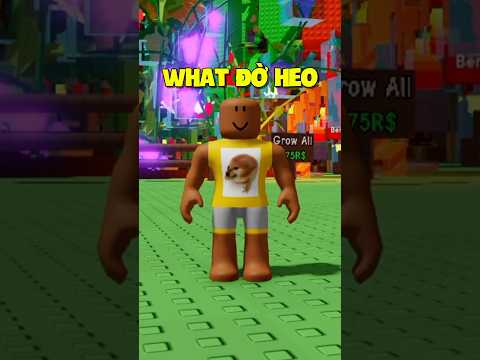 Grow A Garden Bất Ổn 😅 #dauhuroblox #growagarden #dauhugaming