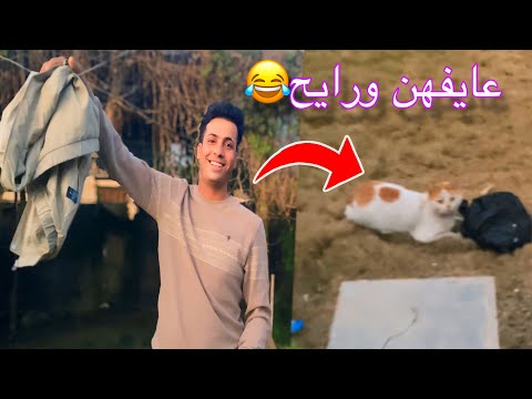 جاسم جايب سمج والبزون كلته ههههه