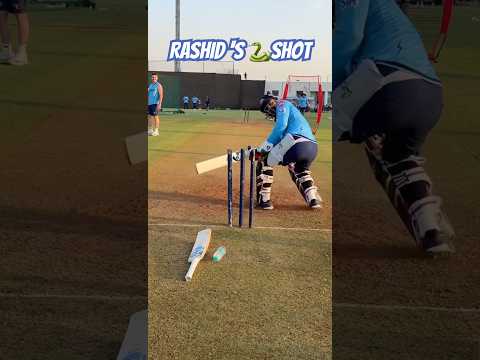 Rashid Khan you Beauty ๐๐ค #rashidkhan #ipl #delhicapitals #shorts #ytshorts #cricketfans