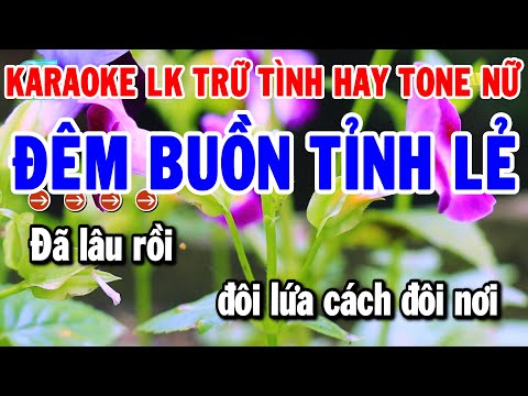 Karaoke Liên Khúc Trữ Tình Rumba Dễ Hát Tone Nữ | Đêm Buồn Tỉnh Lẻ – Nhớ Nhau Hoài | Thanh Hải