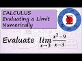 Limits and Function Evaluation