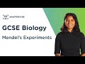 Mendelian Genetics and Discoveries