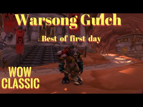 WoW Classic PvP/Warsong Gulch Tauren Enhancement...