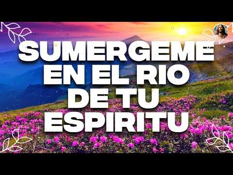 CANSADO DEL CAMINO - Mezcla De Alabanzas De Adoración - Musica Cristiana Sumergeme y Mas..