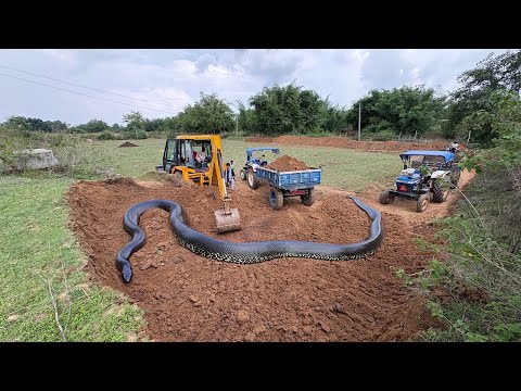 Jcb 3dx Backhoe Machine Mahindra Swaraj New Eicher Sonalika Tractor Over LoadingTrolley Truck video