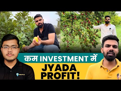 कम investment में अंजीर (Fig) की खेती कैसे शुरू करें? | Profitable Fig Farming Tips | Fig Farming