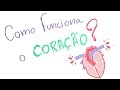 Funções e Estruturas do Sistema Circulatório
